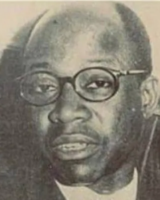 Noe l e ebony